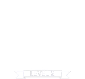 Cybersecurity Maturity Model certification